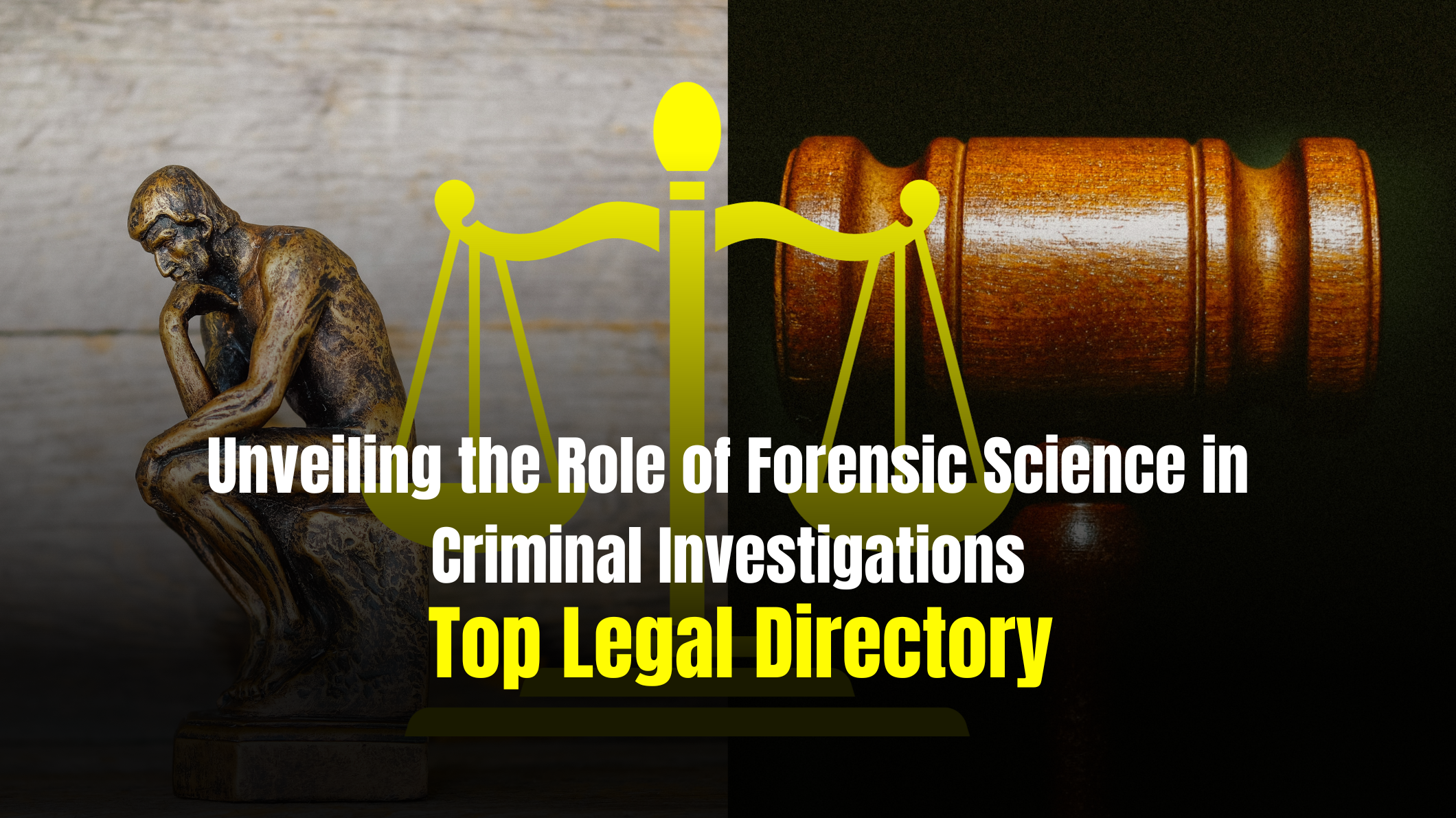 Unveiling the Role of Forensic Science in Criminal Investigations